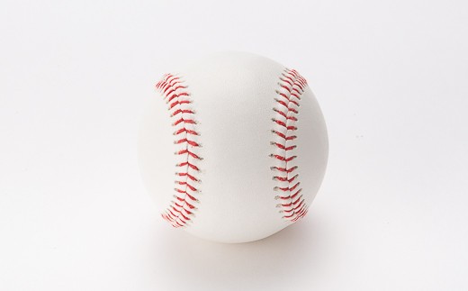 48 001 全天候型コードレ 合皮 硬式野球ボール2ダースセット 山形県新庄市 ふるさと納税 ふるさとチョイス