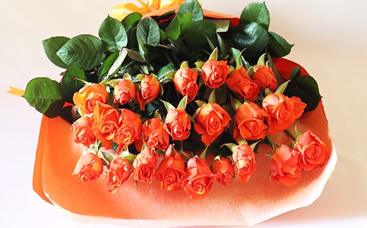 バラの花束 オレンジ色 24本 長さ60cm以上を厳選 産地直送 摘み立て ギフト用 最高品質 栄養剤付 佐賀県唐津市 ふるさと納税 ふるさとチョイス
