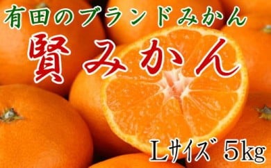 [秀品]有田のブランド「賢みかん」5kg(Lサイズ) 【2024年11月中旬頃より順次発送】