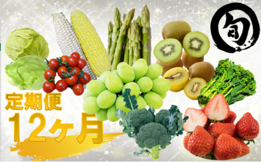 977　さぬき旬の野菜・フルーツ大満足１２ヶ月セット