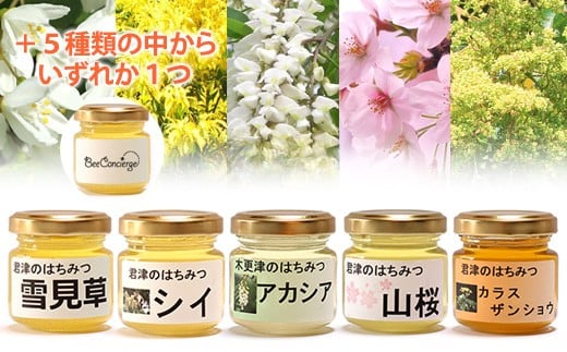 Bee Concierge はちみつ５種６瓶食べ比べセット 君津市君津市 ふるさと納税 ふるさとチョイス