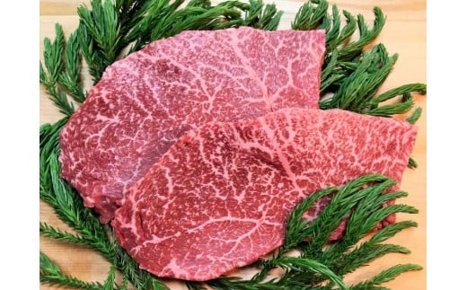 飛騨牛 ５等級 ランプステーキ ２枚  牛肉 和牛 飛騨市推奨特産品 古里精肉店
