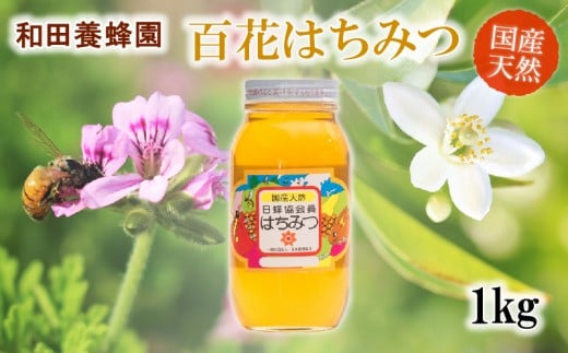和田養蜂園 宇土市産の天然「百花はちみつ」1kg