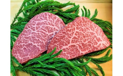 飛騨牛 5等級 心芯ステーキ 2枚  牛肉 和牛 飛騨市推奨特産品 古里精肉店謹製
