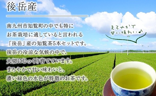 セレクトアイテム 【ふるさと納税】知覧茶やぶきた8袋セット ふるさと