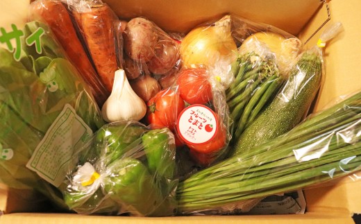 高知から直送 旬の季節のお野菜セット 7 10品 高知県佐川町 ふるさと納税 ふるさとチョイス