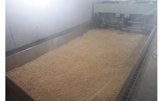 麹室は湿度の高い部屋。ここで、麹菌により「麹」が作られます。