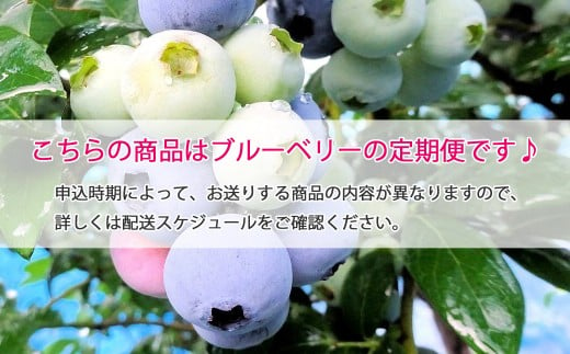 定期便 ブルーベリー三昧 Aセット 約8 5kg 4回発送 完全無農薬栽培 完熟生ブルーベリー 8月中旬以降は冷凍ブルーベリー 愛媛県新居浜市 ふるさと納税 ふるさとチョイス