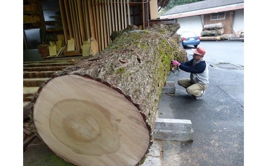 島根県出雲市のふるさと納税 銀杏のまな板（家庭用）【1-185】