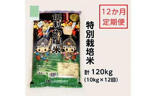 特別栽培米　火牛の里「倶利伽羅米」（10kg）定期便12回  651906 - 石川県津幡町