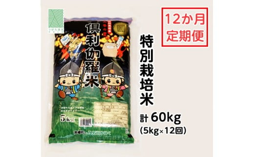特別栽培米　火牛の里「倶利伽羅米」（5kg）定期便12回 651903 - 石川県津幡町