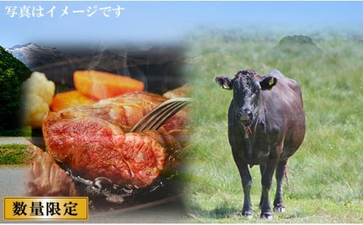 17-007 浜益牛(黒毛和牛)焼肉用【ともばら】