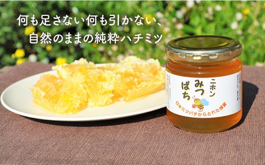 MD01 日本蜜蜂の純粋はちみつ 3個セット-2