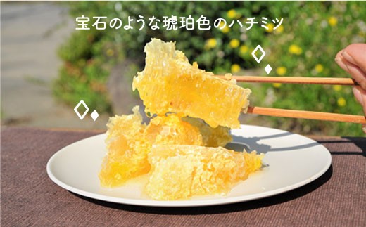 MD02 日本蜜蜂の純粋はちみつ 5個セット-3