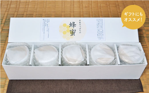 日本蜜蜂の純粋はちみつ 5個セット [MD02] - 長崎県波佐見町｜ふるさと