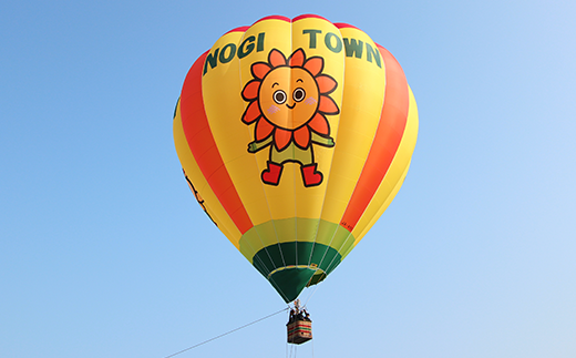 熱気球搭乗体験 フリーフライト体験 栃木県野木町 ふるさと納税 ふるさとチョイス