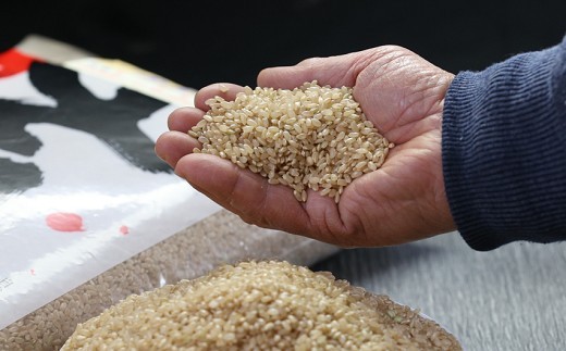 【令和5年産】南関町の米 ヒノヒカリ玄米 20kg