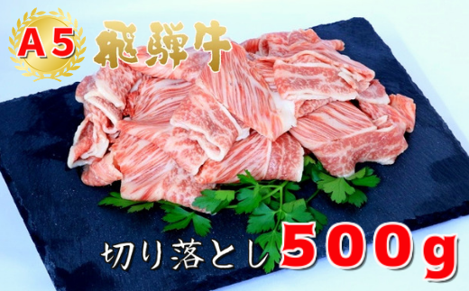 A5飛騨牛 便利な切り落とし 500g 岐阜県大垣市 ふるさと納税 ふるさとチョイス