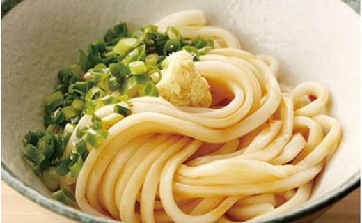 半生うどん 3人前 5袋 香川県坂出市 ふるさと納税 ふるさとチョイス