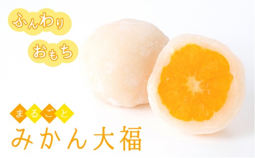 [№5927-0222]【夏のお土産やギフトにも！】ふんわりお餅とジューシーな果汁が溢れるみかん大福（10個セット）
