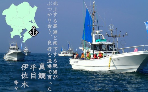 釣り船乗船1名様 1回分 C001 千葉県いすみ市 ふるさと納税 ふるさとチョイス