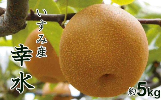 甘くてジューシー♪千葉県いすみ市産幸水梨5kg A618