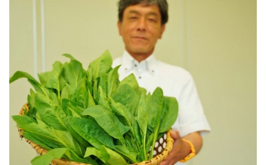 生産者の中田さん。今日も丹精込めて美味しい野菜を作っています。