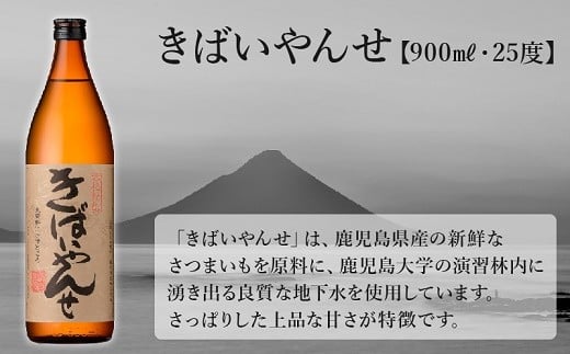 047-27 鹿児島限定焼酎「南之方・きばいやんせ」900mlセット - 鹿児島