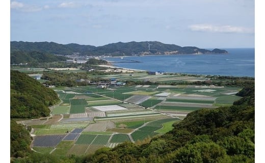 兵庫県南あわじ市のふるさと納税 フルーツ玉ねぎ３kg【サイズ色々】淡路島フルーツ玉ねぎ3kg