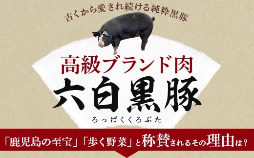 A 030 薩摩どん 六白黒豚とんかつ用ﾋﾚ小18枚 約6人前 鹿児島県産 鹿児島県薩摩川内市 ふるさと納税 ふるさとチョイス