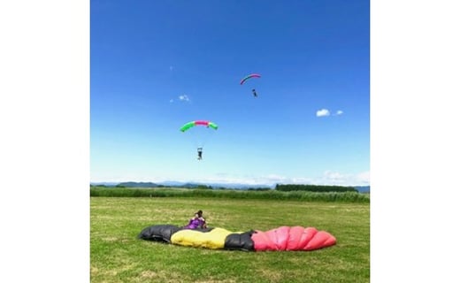 撮影込み 体験スカイダイビング 栃木県栃木市 ふるさと納税 ふるさとチョイス