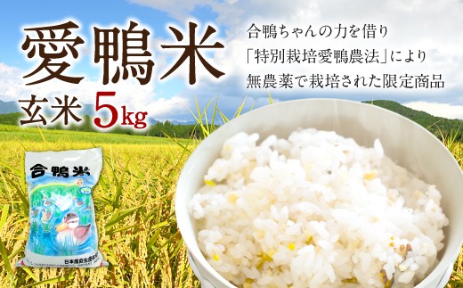 愛鴨米 玄米 5kg