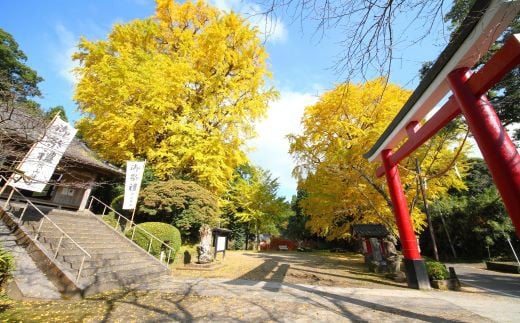 焼酎のラベル絵の旗山神社