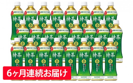 50 0219 6ヶ月定期便 サントリー緑茶 伊右衛門 特茶 特定保健用食品 500ml 24本 神奈川県綾瀬市 ふるさと納税 ふるさとチョイス