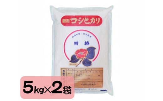 No 111 加茂市産 胚芽米コシヒカリ 10kg お米 白米 精米 こしひかり 健康 新潟県 新潟県加茂市 ふるさと納税 ふるさと チョイス