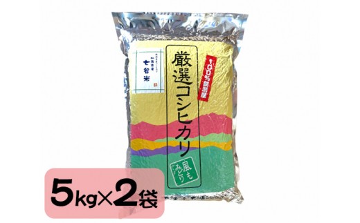 No 113 七谷米 10kg お米 白米 精米 コシヒカリ こしひかり 新潟県 新潟県加茂市 ふるさと納税 ふるさとチョイス