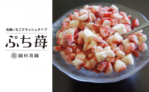 74-20 園村苺園 宇土産 完熟冷凍いちご「ぷち苺」1kg（500g×2パック