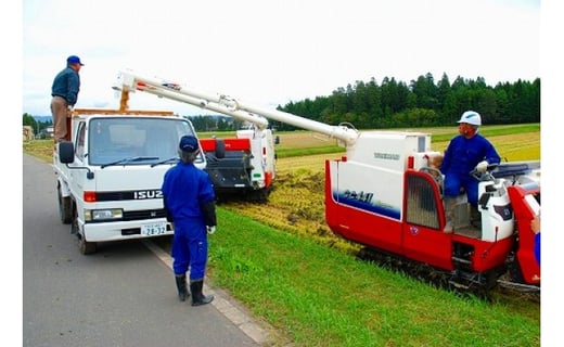 岩手ふるさと米ひとめぼれ5kg 岩手県奥州市産 岩手県奥州市 ふるさと納税 ふるさとチョイス