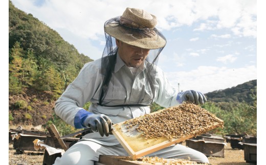 国産 はちみつ 百花蜜 500g×2本入りセット／希少 純 ハチミツ 蜂蜜