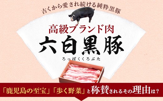 C 503 薩摩どん 六白黒豚 黒毛和牛 しゃぶしゃぶｾｯﾄ 5 7人前 鹿児島県産 ｵﾘｼﾞﾅﾙ調味料付 鹿児島県薩摩川内市 ふるさと納税 ふるさとチョイス