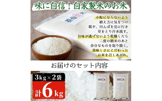 No 140 鹿児島県日置市東市来産のお米 養母信米 計6kg 3kg 2袋 味に自信 自家製米の美味しさにこだわったおコメ こけけ特産品販売所 鹿児島県日置市 ふるさと納税 ふるさとチョイス