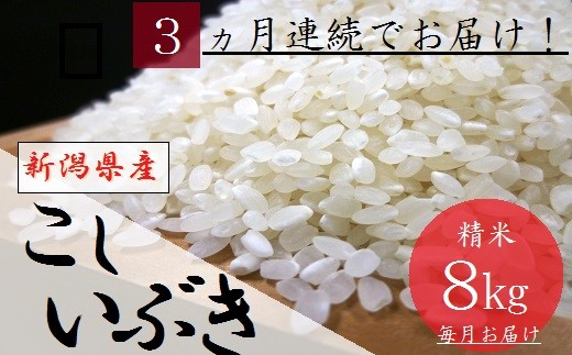 令和5年産 【3カ月連続お届け】新潟県産 こしいぶき 8㎏ (2kg×4袋) (精米)