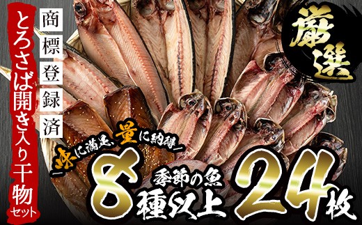 No 3 旬の厳選 干物詰合せ 計24枚 あじ とろさば開き 鯛など8種以上の新鮮 鮮度抜群のひものをお届け 季節により干物の種類は変わることがあります みのだ食品 日置市日置市 ふるさと納税 ふるさとチョイス