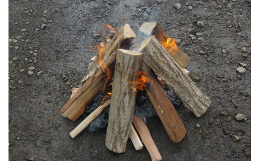 ④新聞紙に着火すれば簡単に木に火がまわります。