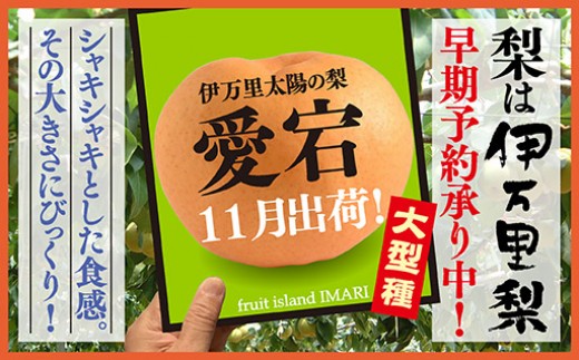 令和3年産先行予約 伊万里梨 愛宕 約5kg 大型種 B164 佐賀県伊万里市 ふるさと納税 ふるさとチョイス