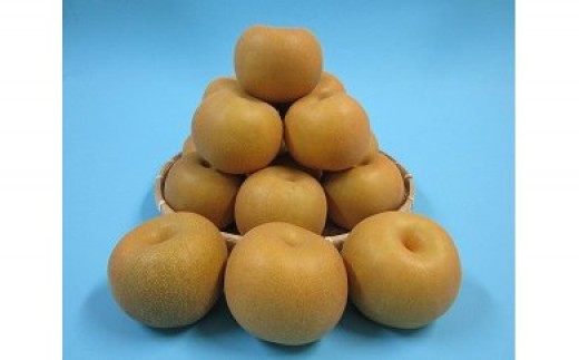 富里市内の梨農園から収穫された厳選した瑞々しい美味しい豊水梨。2Lサイズですが約5Kgご提供致しますので早いものがちです。