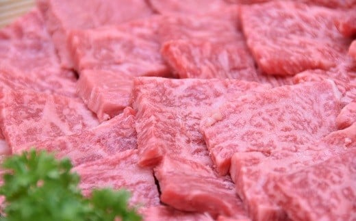 飛騨牛 A5 等級 焼肉 用 400g（ モモ肉 ） | 肉のかた山 M10S58 - 岐阜 