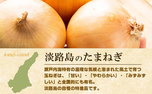 淡路島たまねぎプレミアムハンバーグ 150ｇ 10個 兵庫県淡路市 ふるさと納税 ふるさとチョイス