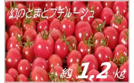 格安豊富な トマトさん専用の通販 by ミカゲ's shop｜ラクマ fdc.org.mz