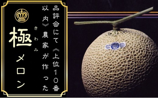5790 0580 クラウンメロン 極メロン 1玉 ギフト箱入り 静岡県袋井市 ふるさと納税 ふるさとチョイス